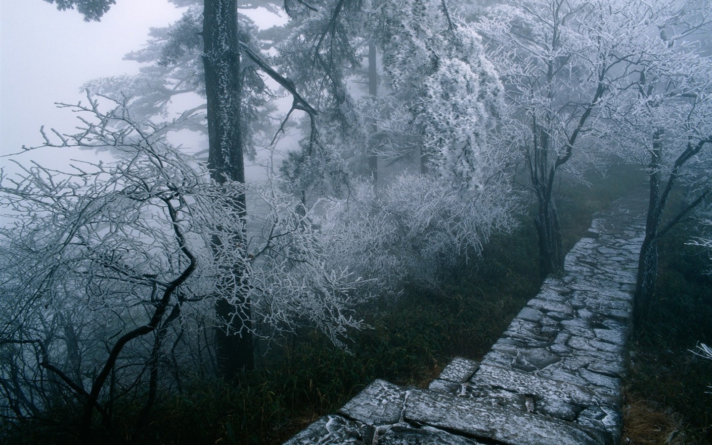 경관 콜렉션 벽지 (3) #30 - 1440x900