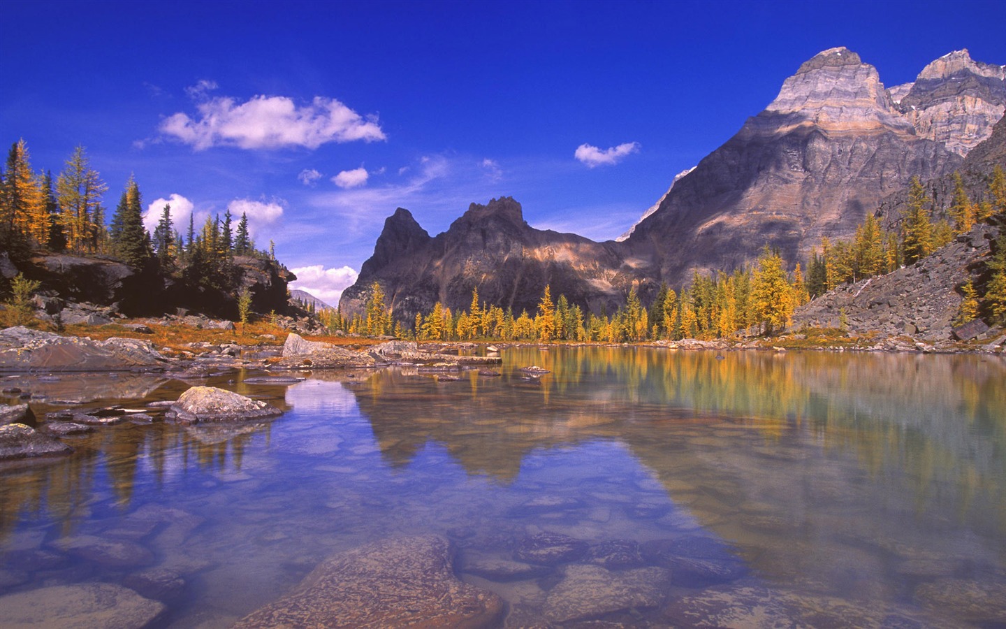 캐나다 풍경 바탕 화면의 HD (1) #14 - 1440x900