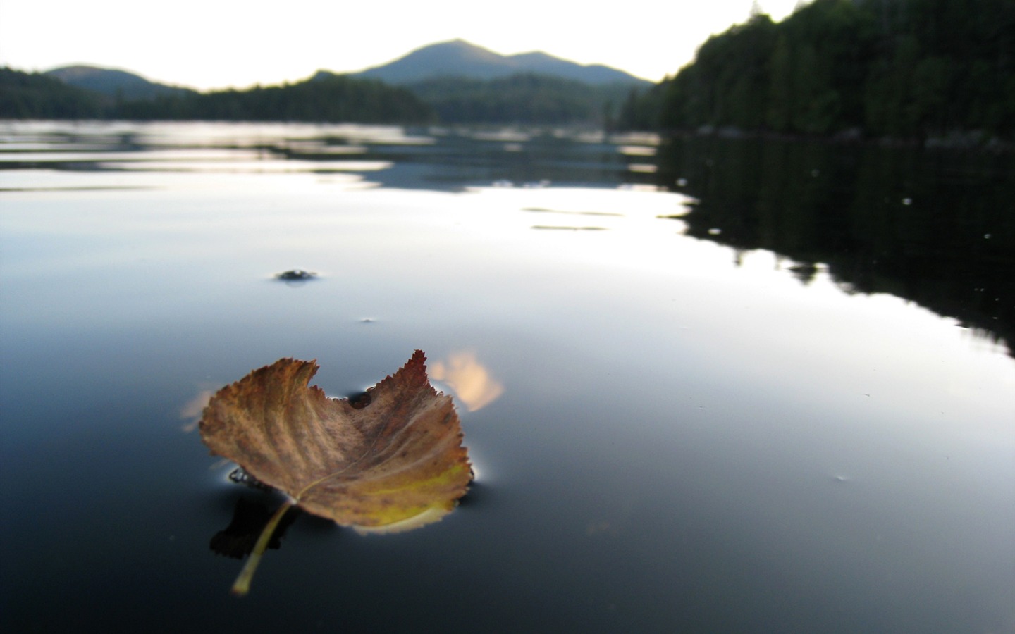 Wallpaper World geographical scenery Posts (1) #12 - 1440x900