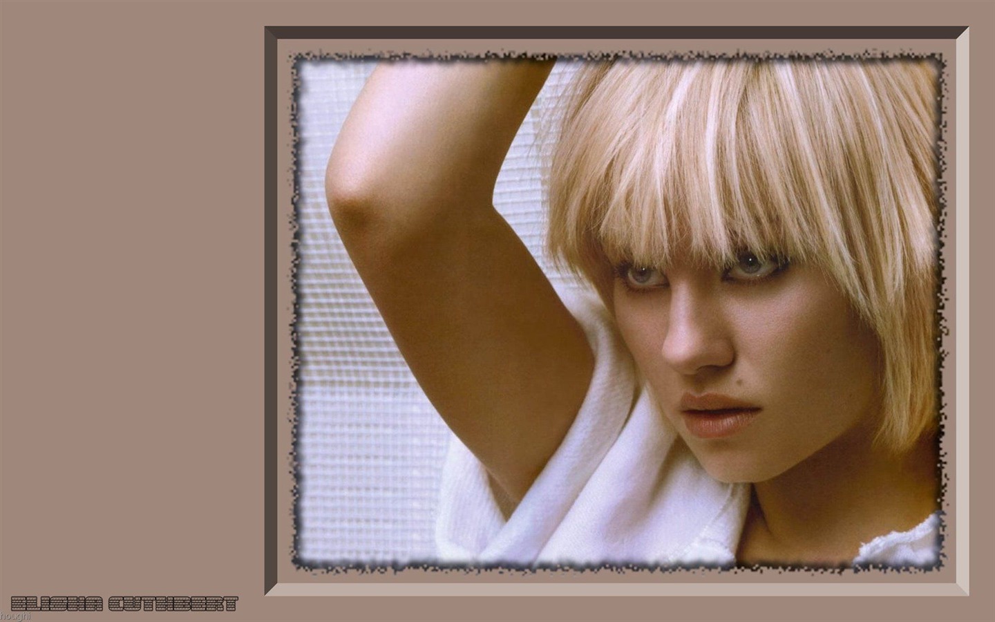 Elisha Cuthbert 伊麗莎·庫斯伯特美女壁紙 #6 - 1440x900
