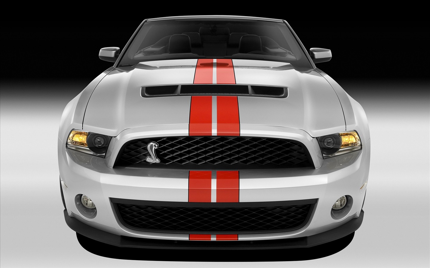 福特野馬GT500壁紙 #3 - 1440x900