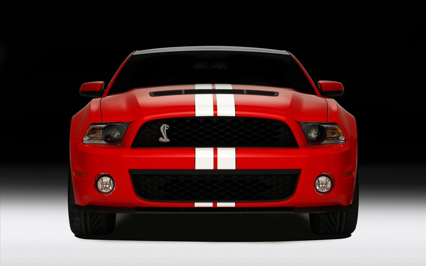 福特野馬GT500壁紙 #5 - 1440x900