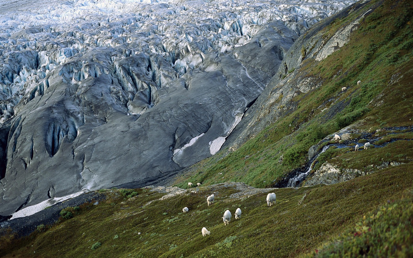 Fond d'écran paysage de l'Alaska (1) #8 - 1440x900