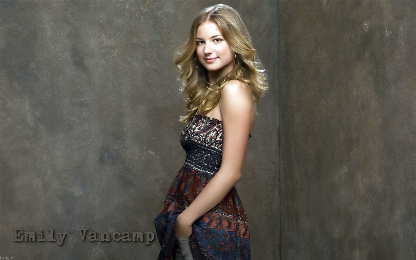 Emily VanCamp 艾米麗·萬凱普美女壁紙 #7 - 1440x900