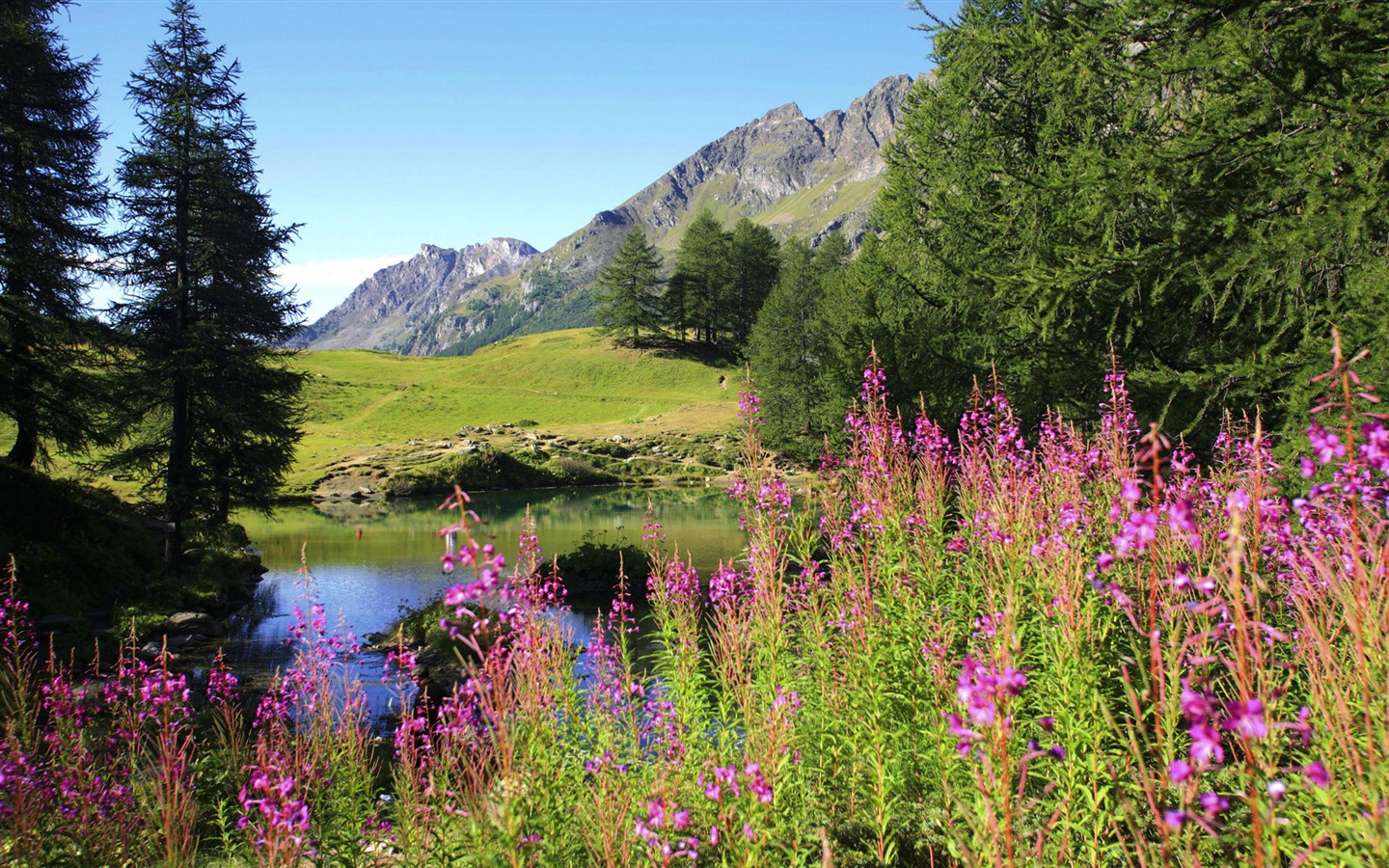 Fond d'écran paysage de l'Alaska (2) #1 - 1440x900