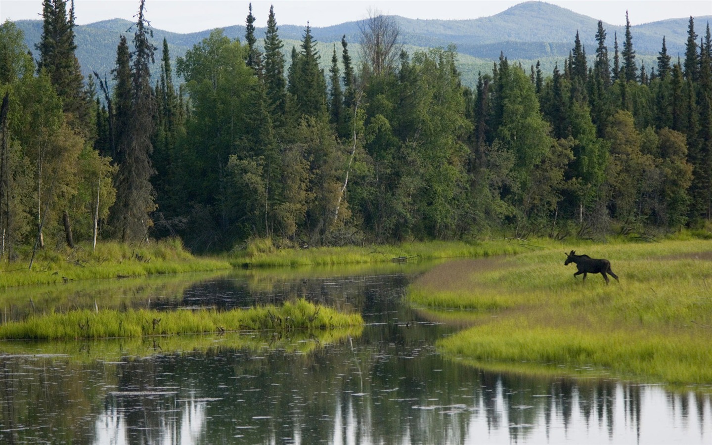 Fond d'écran paysage de l'Alaska (2) #14 - 1440x900