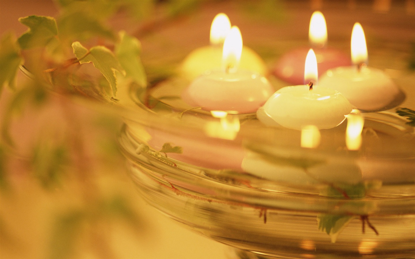 Candlelit wallpaper (5) #13 - 1440x900