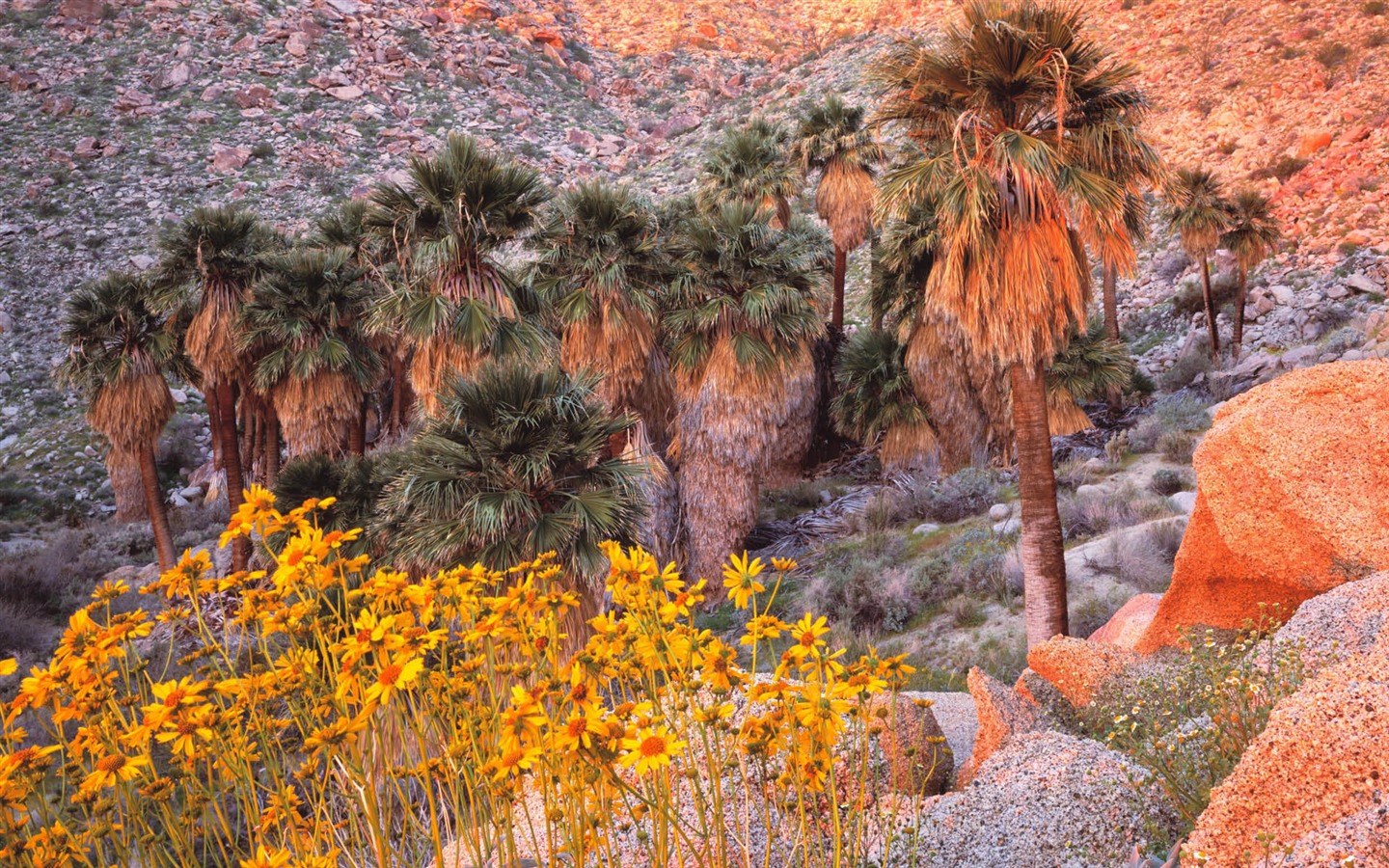 Fondos de Paisajes de California (1) #4 - 1440x900