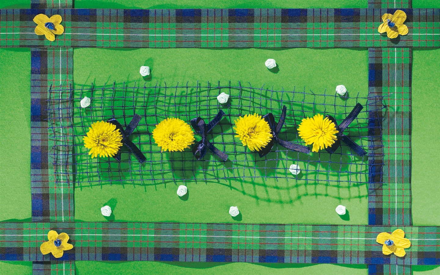 와이드 스크린 벽지의 꽃 가까이에서 (5)까지 #12 - 1440x900