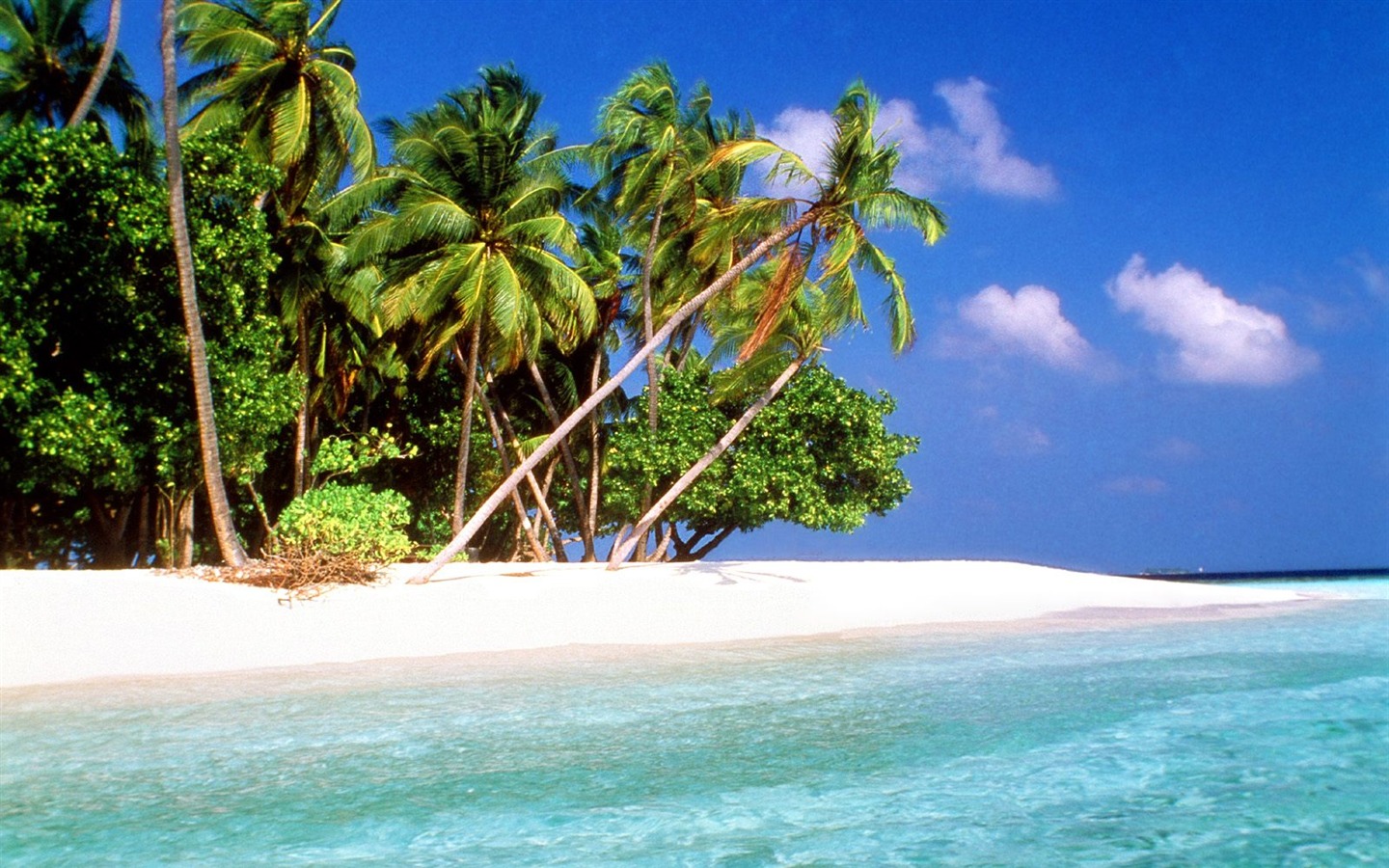 Beach Insel Wallpaper (2) #23 - 1440x900