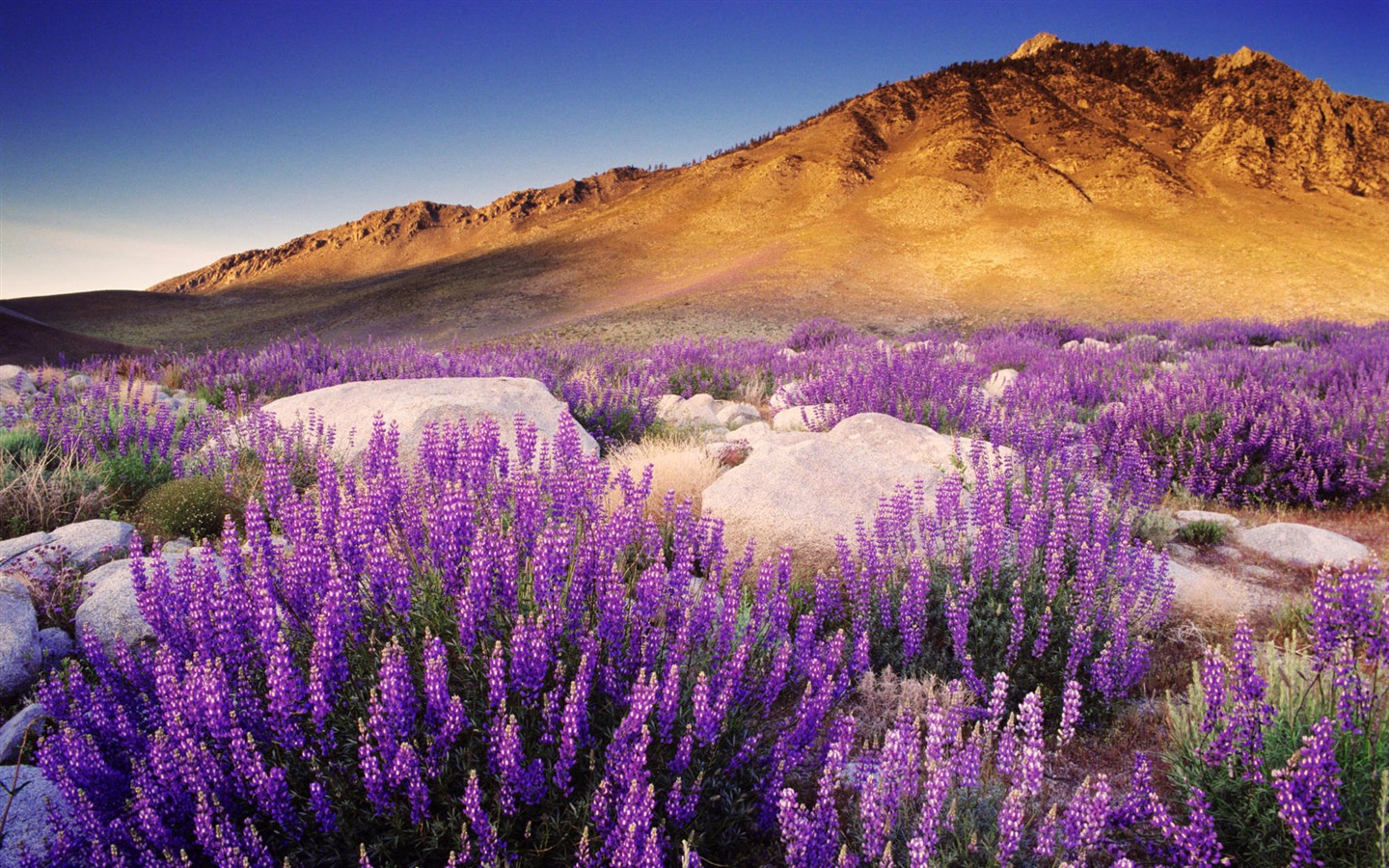 California Scenery Wallpapers (2) #19 - 1440x900
