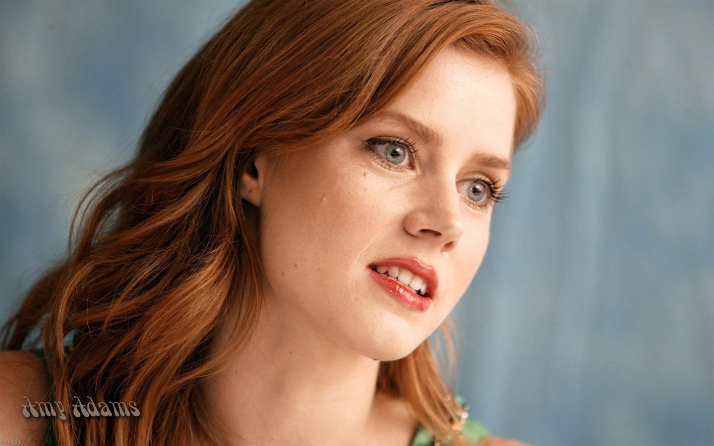 Amy Adams krásnou tapetu #9 - 1440x900