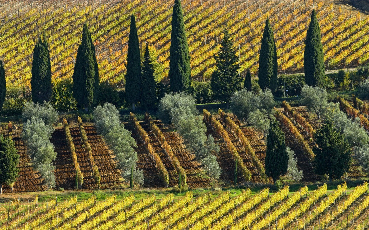 Italská krajina tapety (2) #17 - 1440x900