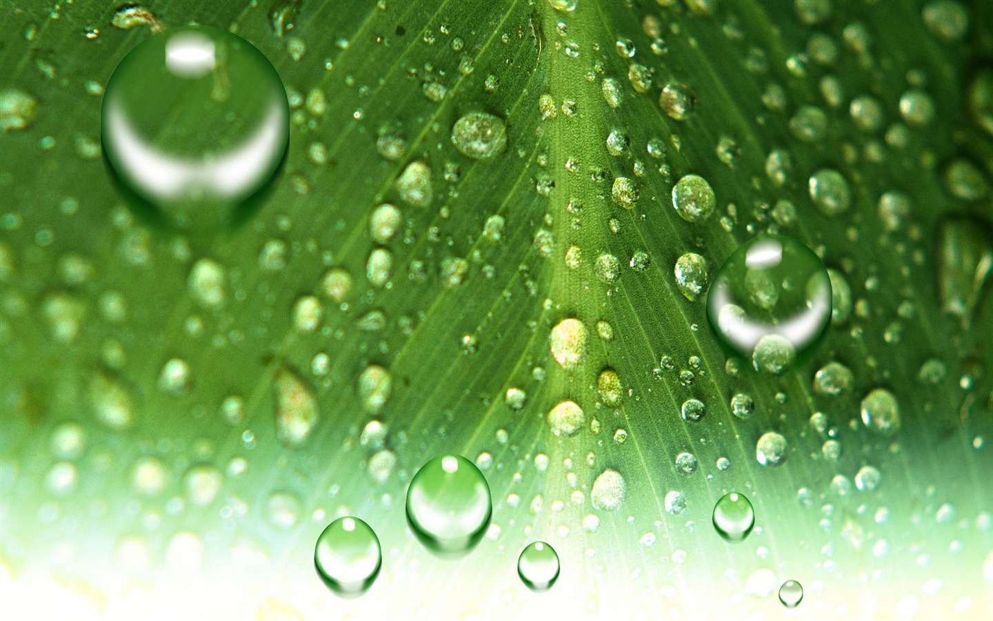 Colorful Water drops HD wallpaper #7 - 1440x900