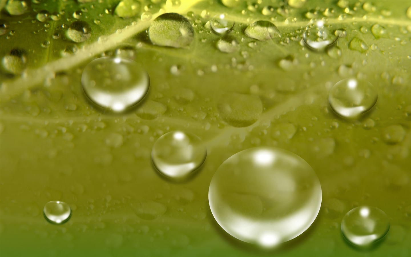 Colorful Water drops HD wallpaper #13 - 1440x900