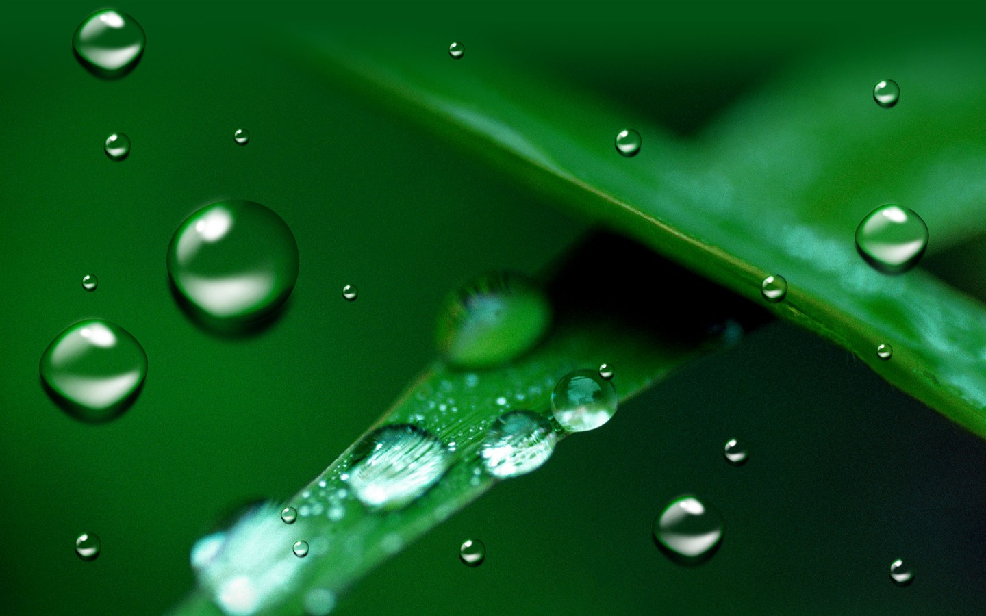 Colorful Water drops HD wallpaper #17 - 1440x900