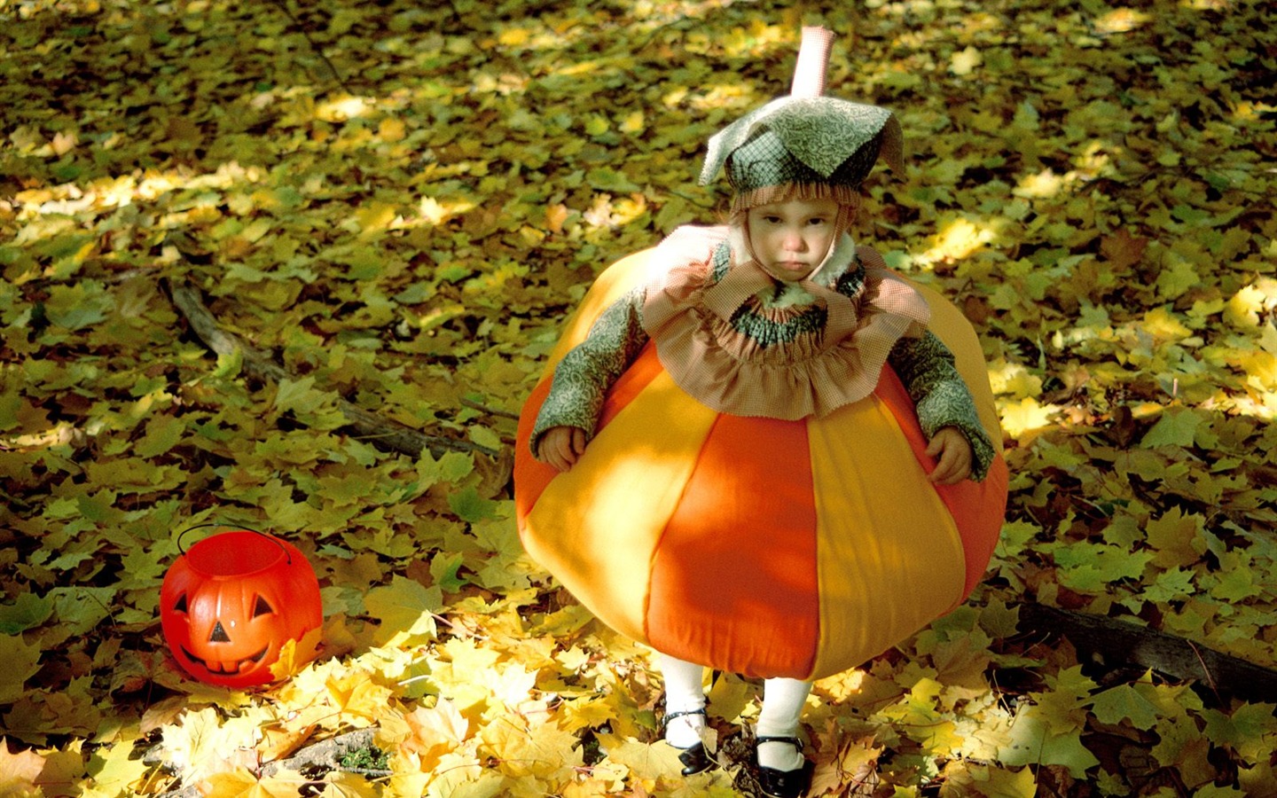 Fonds d'écran thème de l'Halloween (1) #13 - 1440x900