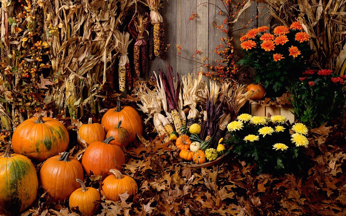 Halloween Téma Tapety na plochu (2) #2 - 1440x900