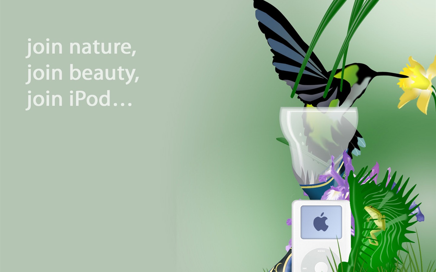 iPod tapety (1) #6 - 1440x900