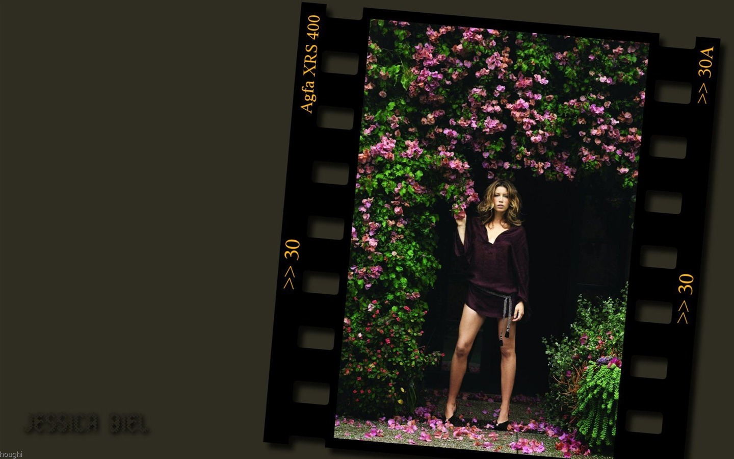 Jessica Biel hermoso fondo de pantalla #24 - 1440x900