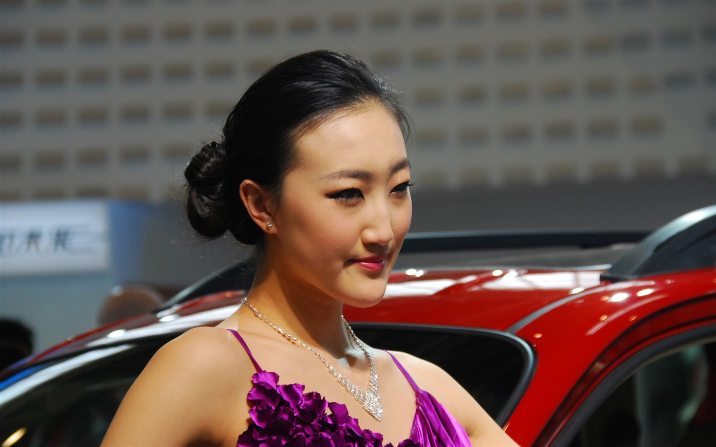 2010 Beijing International Auto Show (3) (z321x123 works) #27 - 1440x900