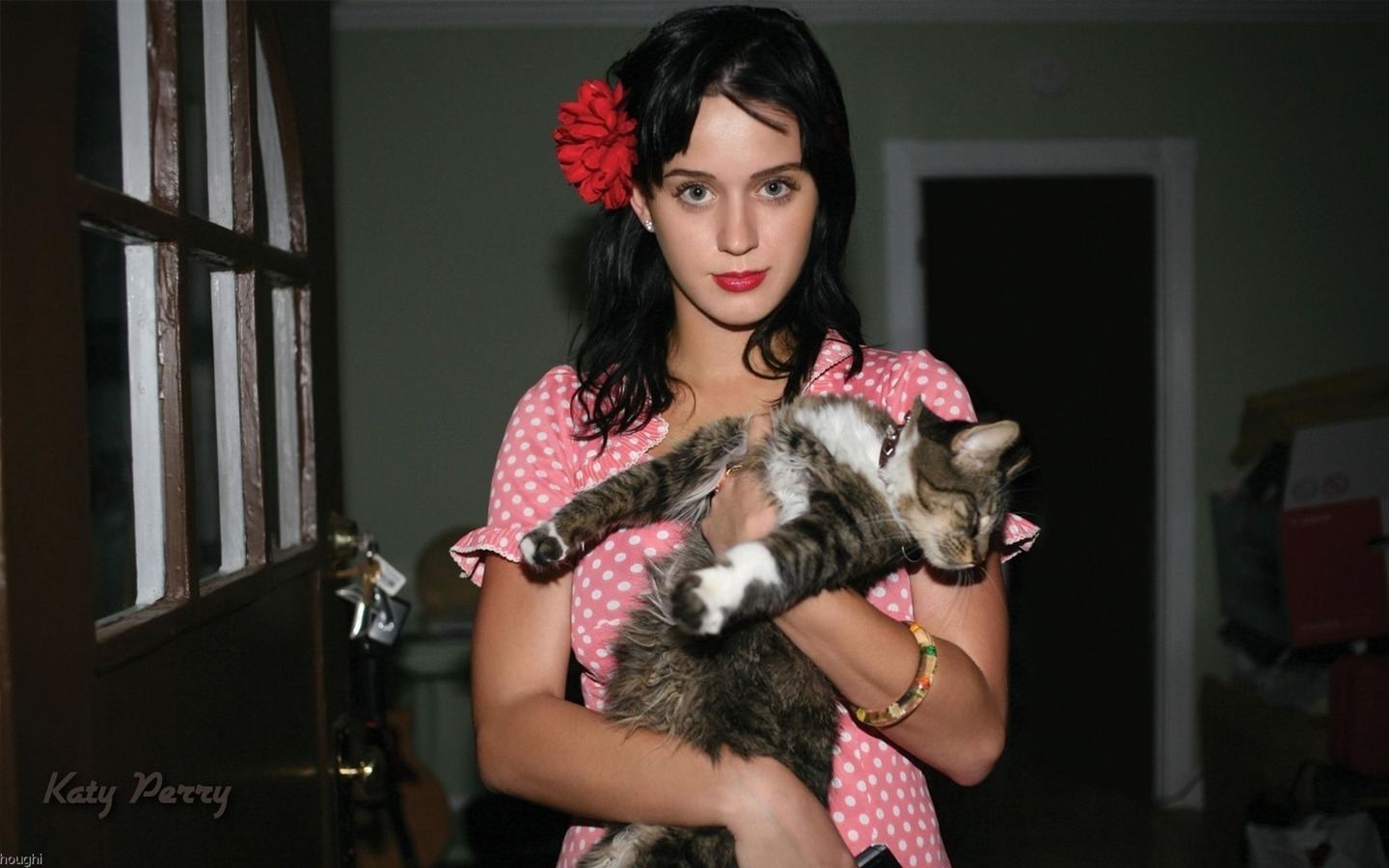 Katy Perry 凱蒂·佩里 美女壁紙 #1 - 1440x900