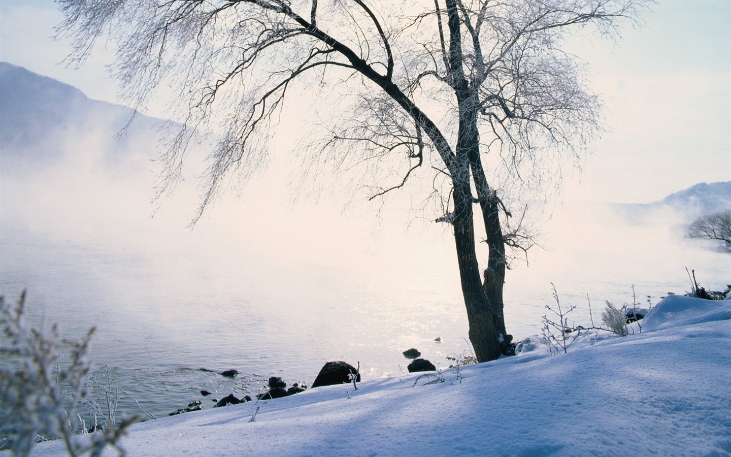 冬天雪景壁紙 #1 - 1440x900