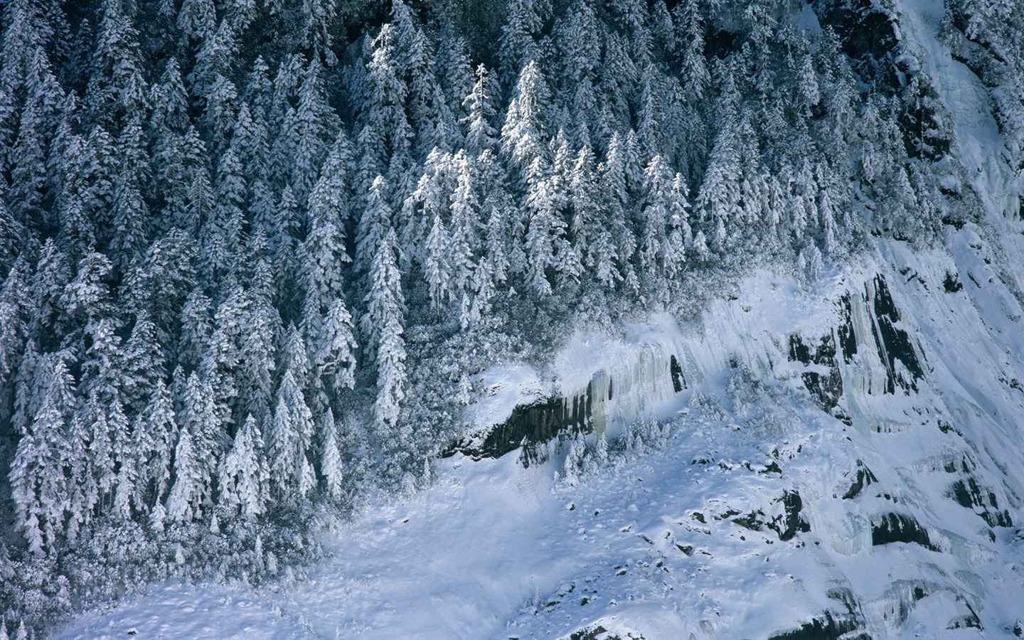 冬天雪景壁紙 #5 - 1440x900