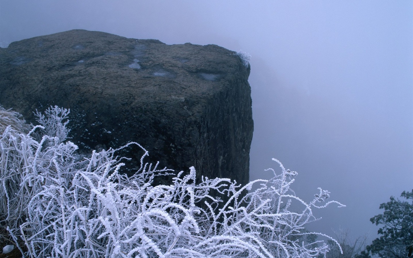 冬天雪景壁紙 #8 - 1440x900