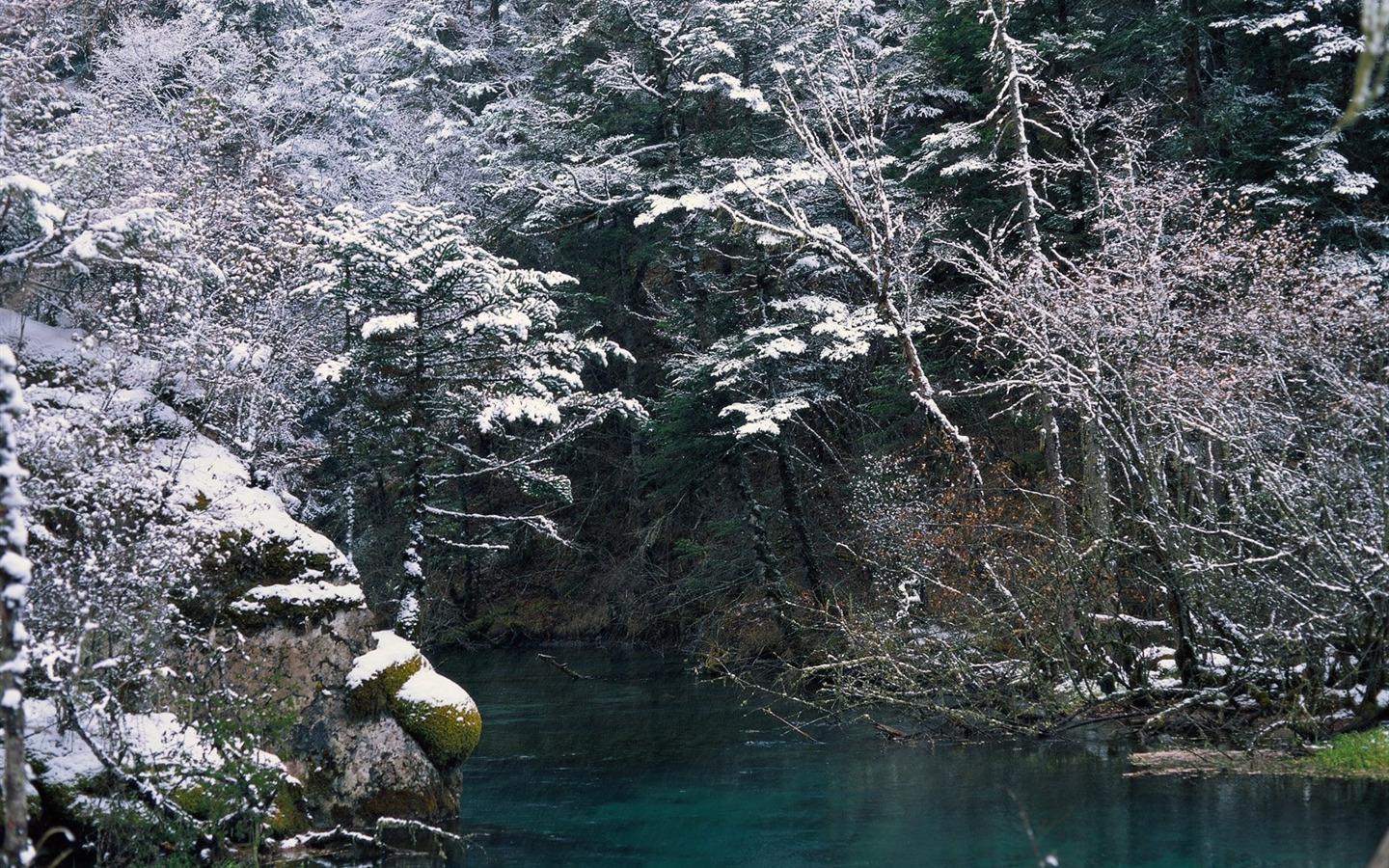 冬天雪景壁紙 #37 - 1440x900