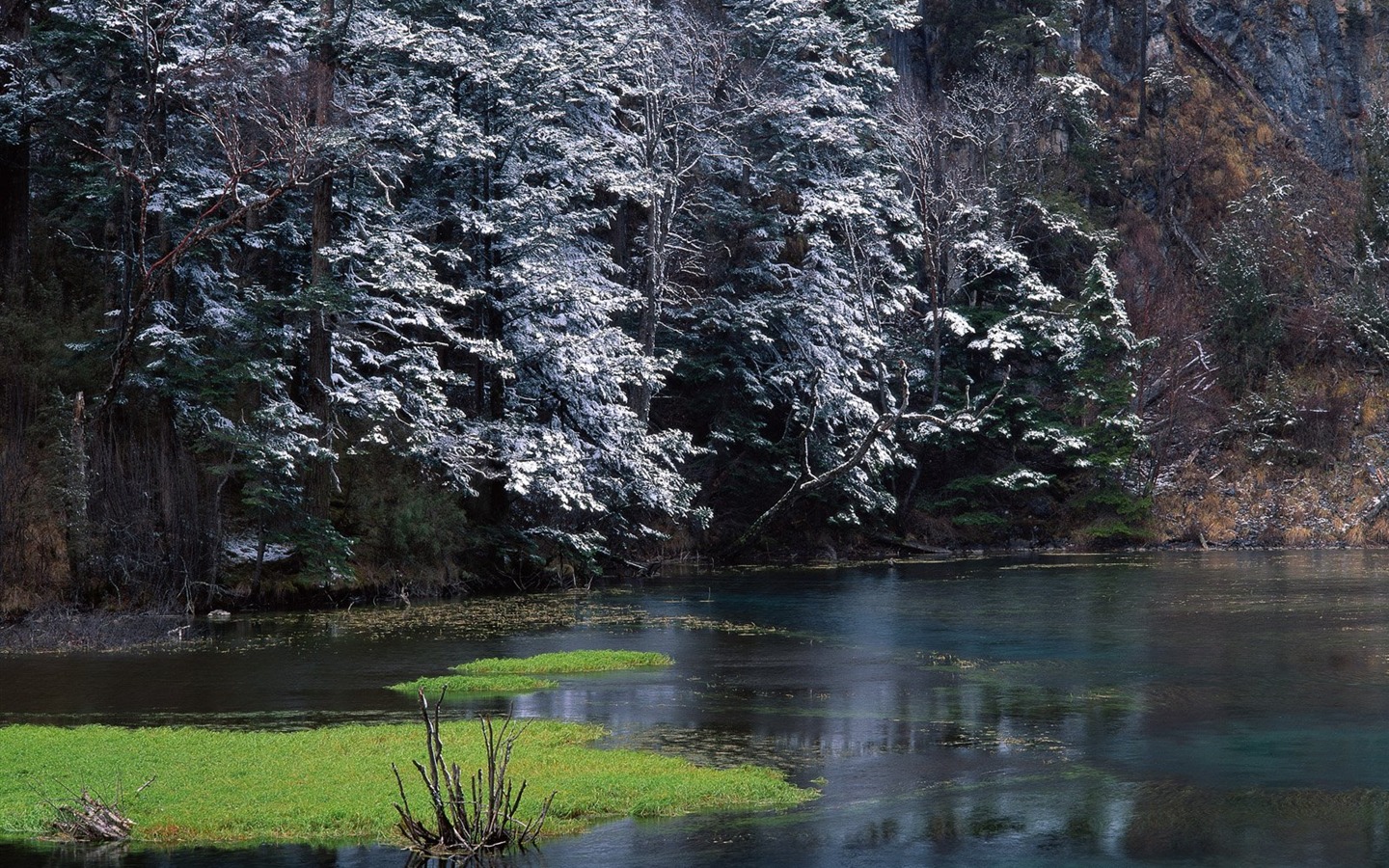 冬天雪景壁紙 #38 - 1440x900