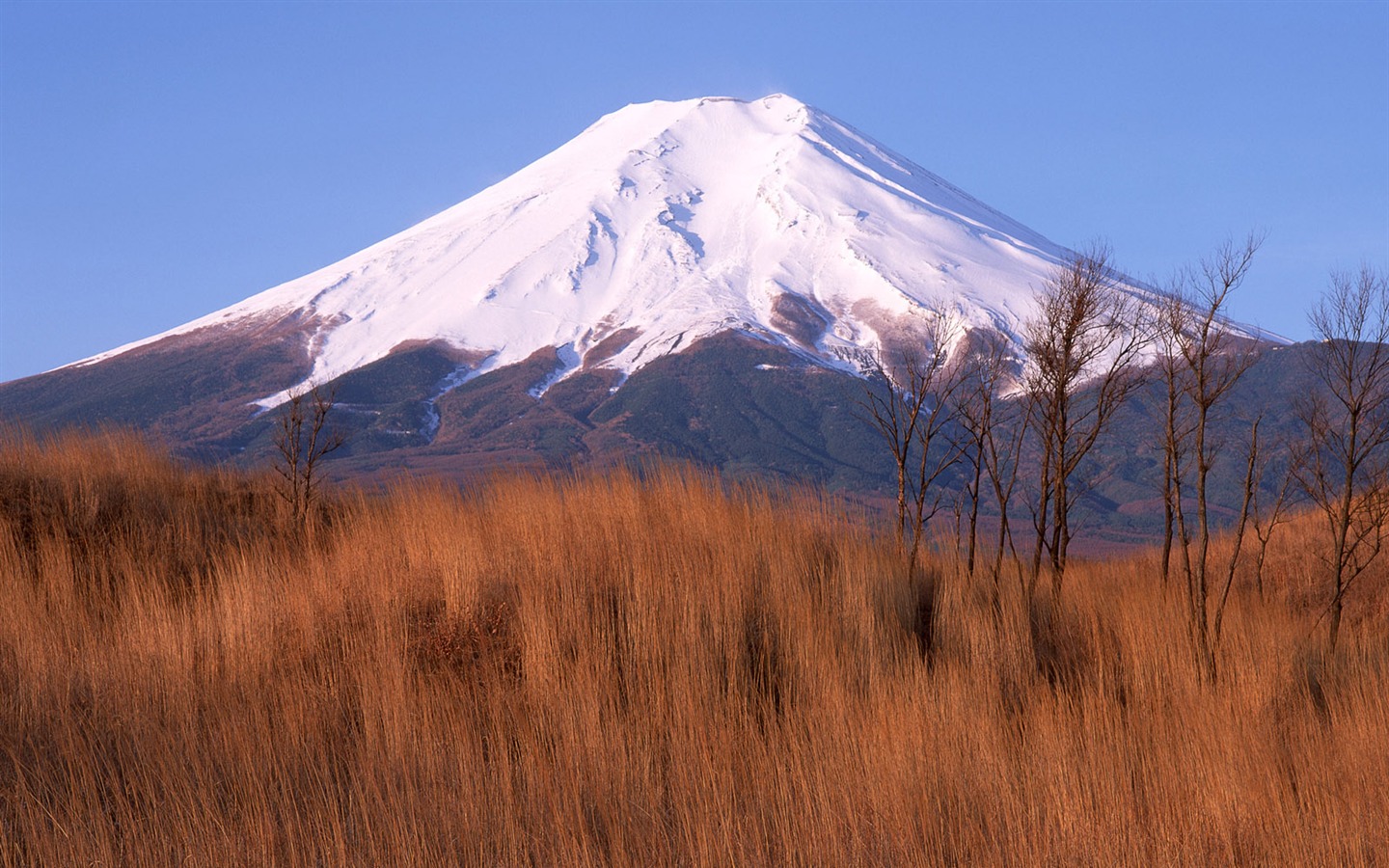 日本富士山 壁纸(一)8 - 1440x900