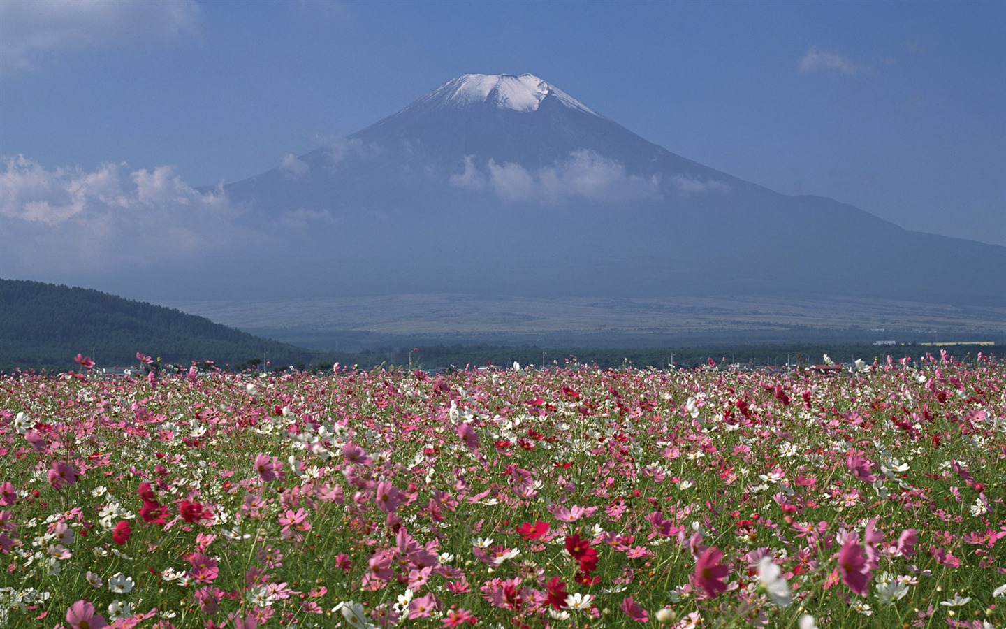 日本富士山 壁紙(一) #20 - 1440x900