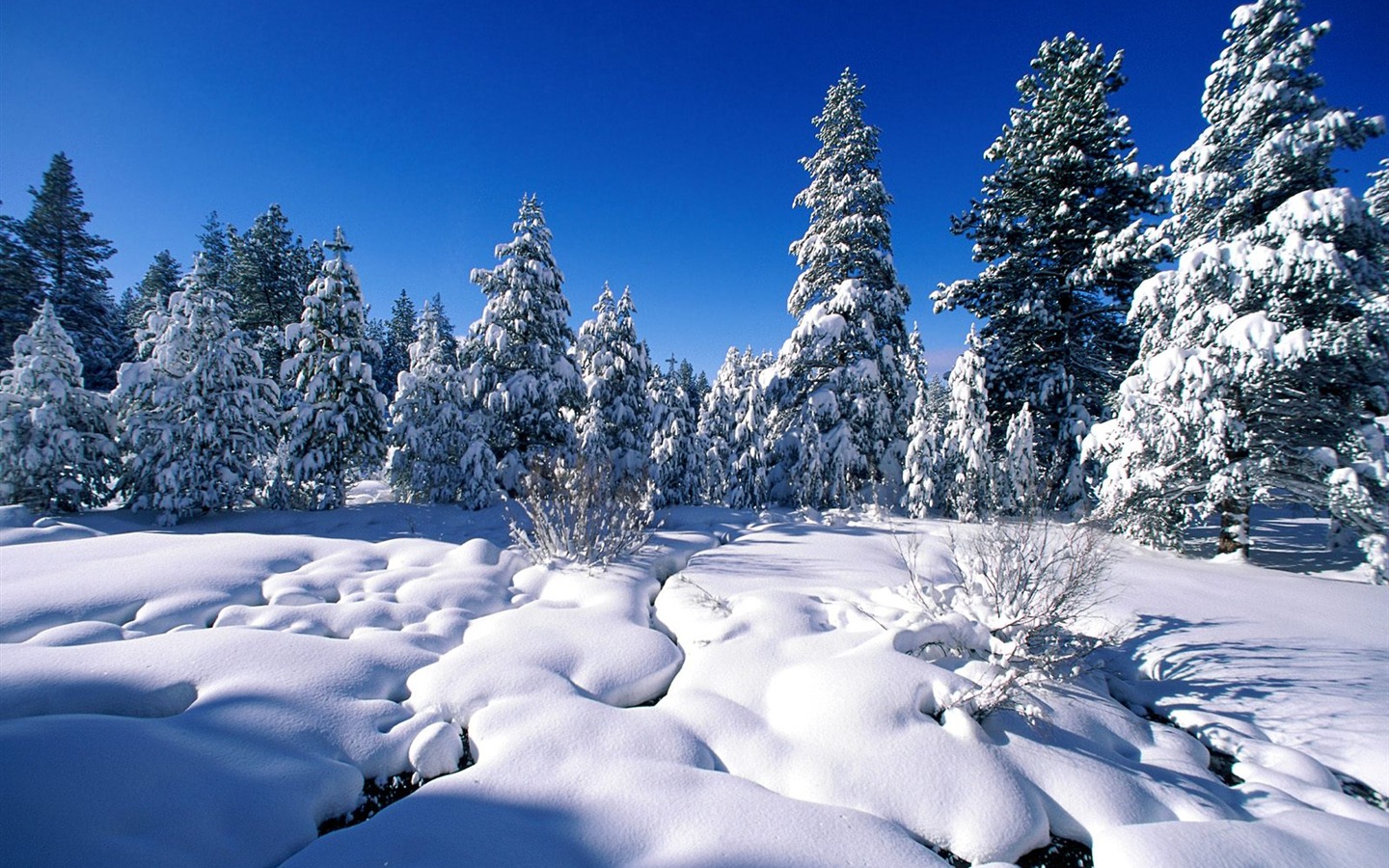 Winter Snow wallpaper (2) #4 - 1440x900