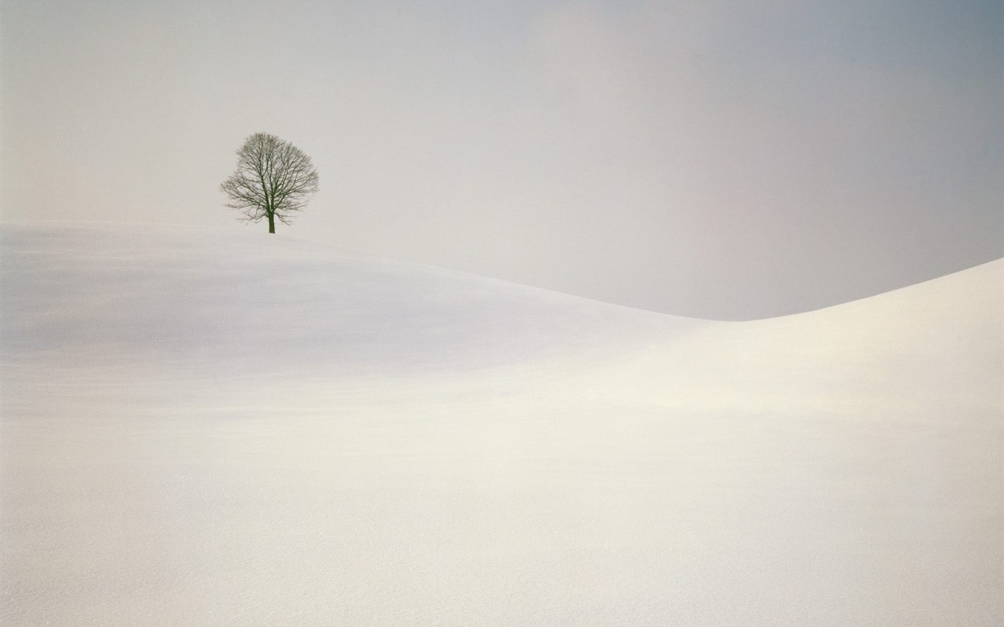冬の雪の壁紙 (2) #17 - 1440x900