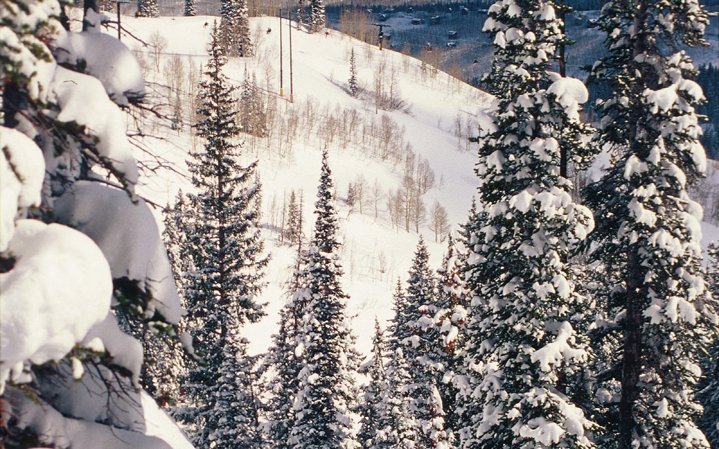 冬天雪景壁紙(三) #6 - 1440x900