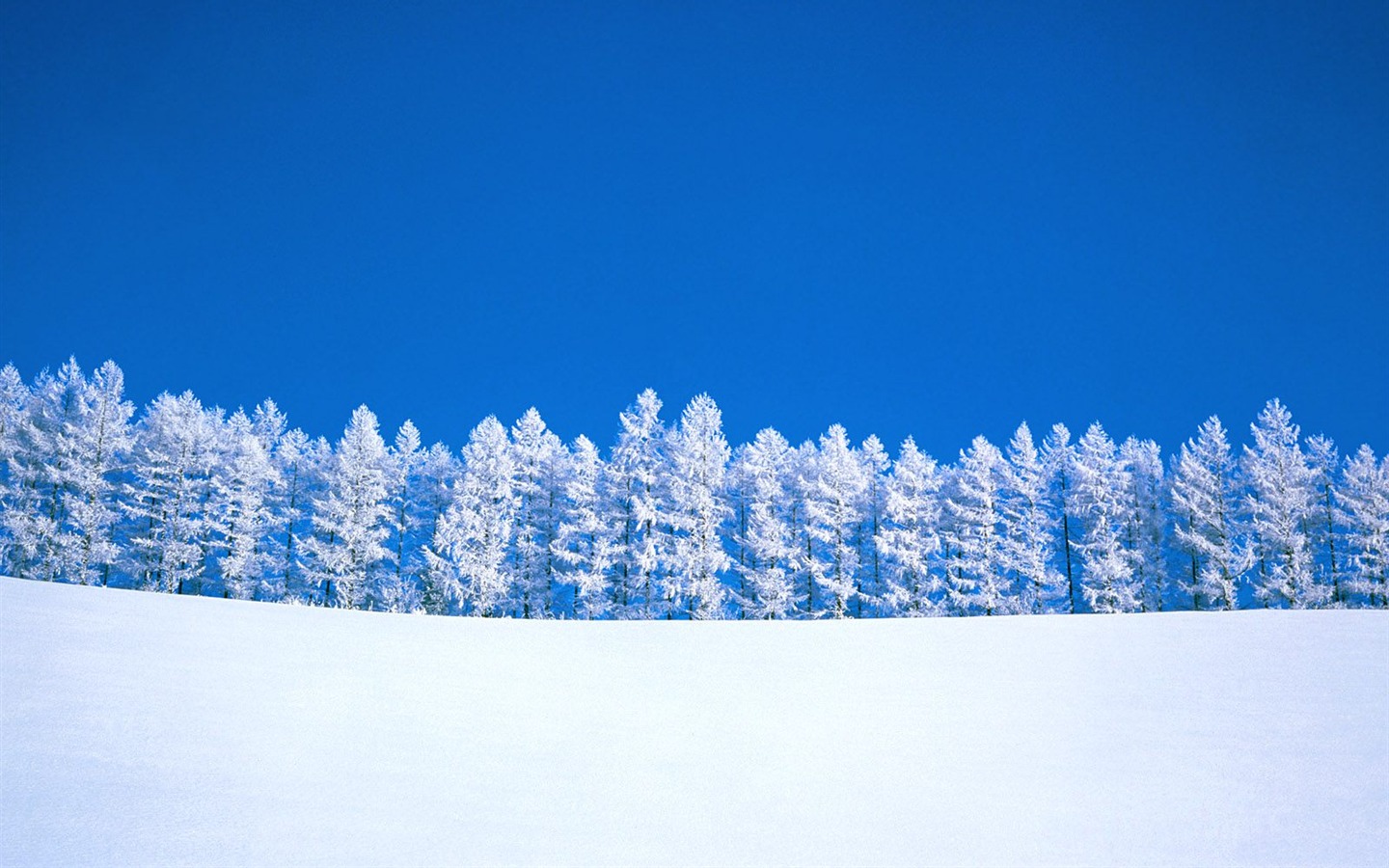 冬天雪景壁纸(三)8 - 1440x900