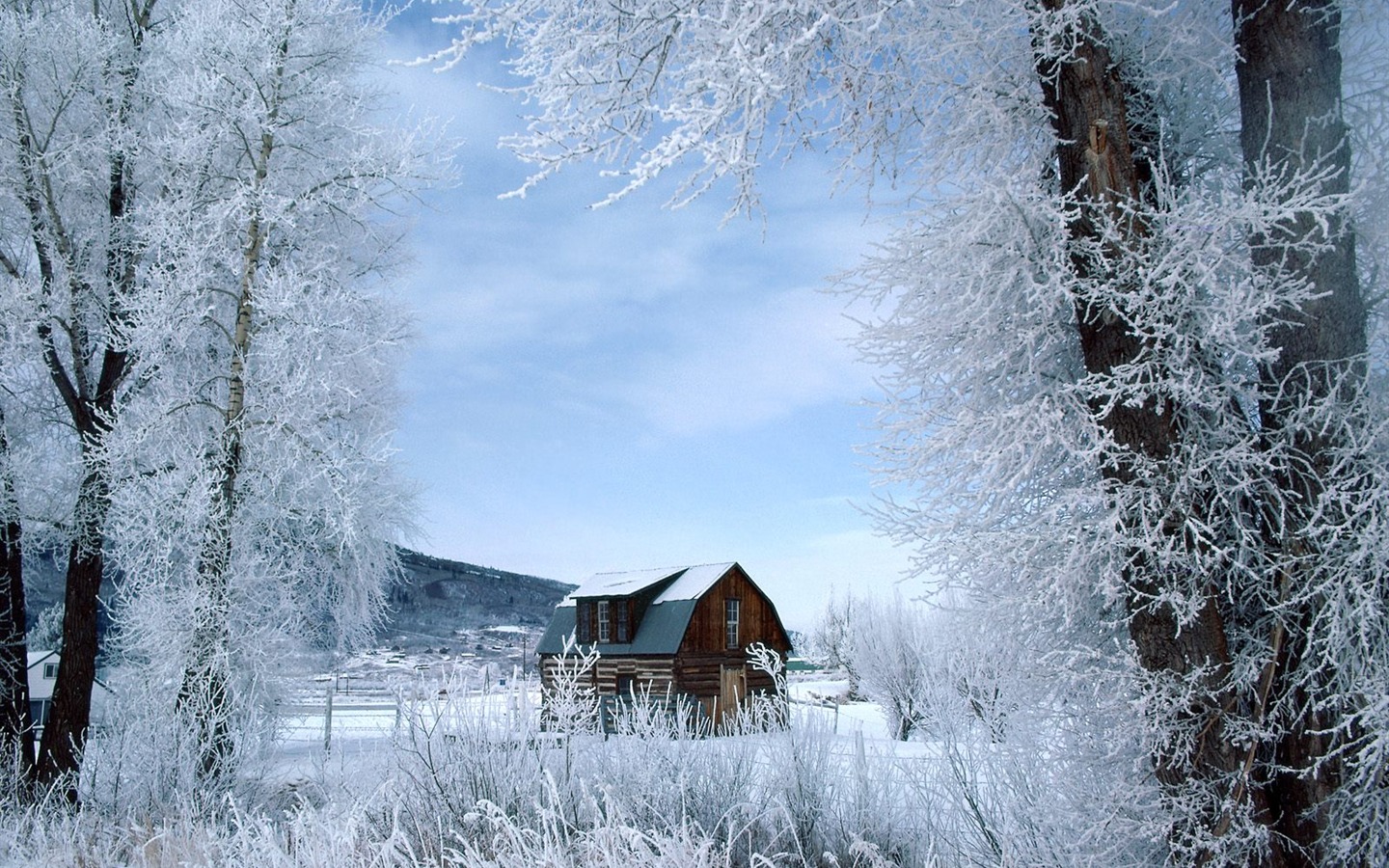 Invierno Nieve fondo de pantalla (3) #20 - 1440x900