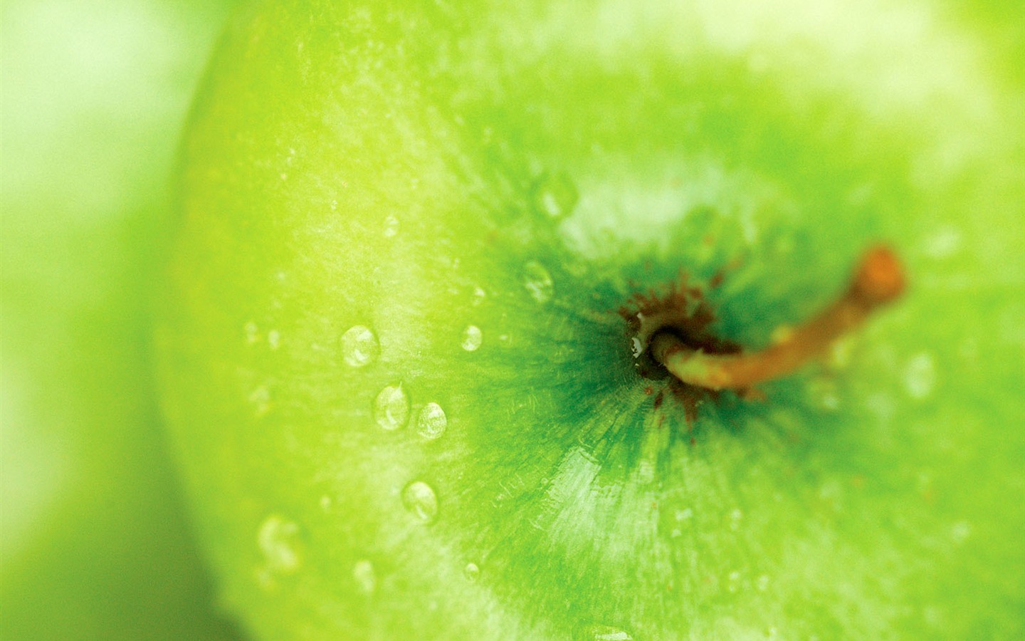 Frutas fondo de pantalla de fotos (2) #15 - 1440x900