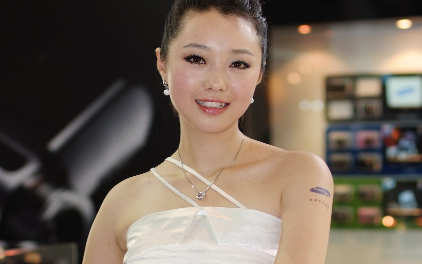 2009 P&E 展台上的美女(螺紋鋼作品) #10 - 1440x900