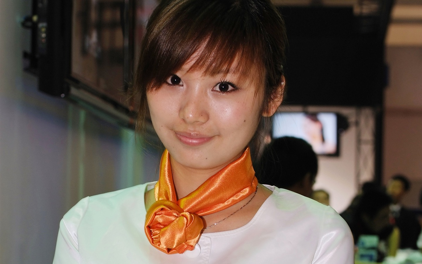 2009 P&E 展台上的美女(螺紋鋼作品) #31 - 1440x900