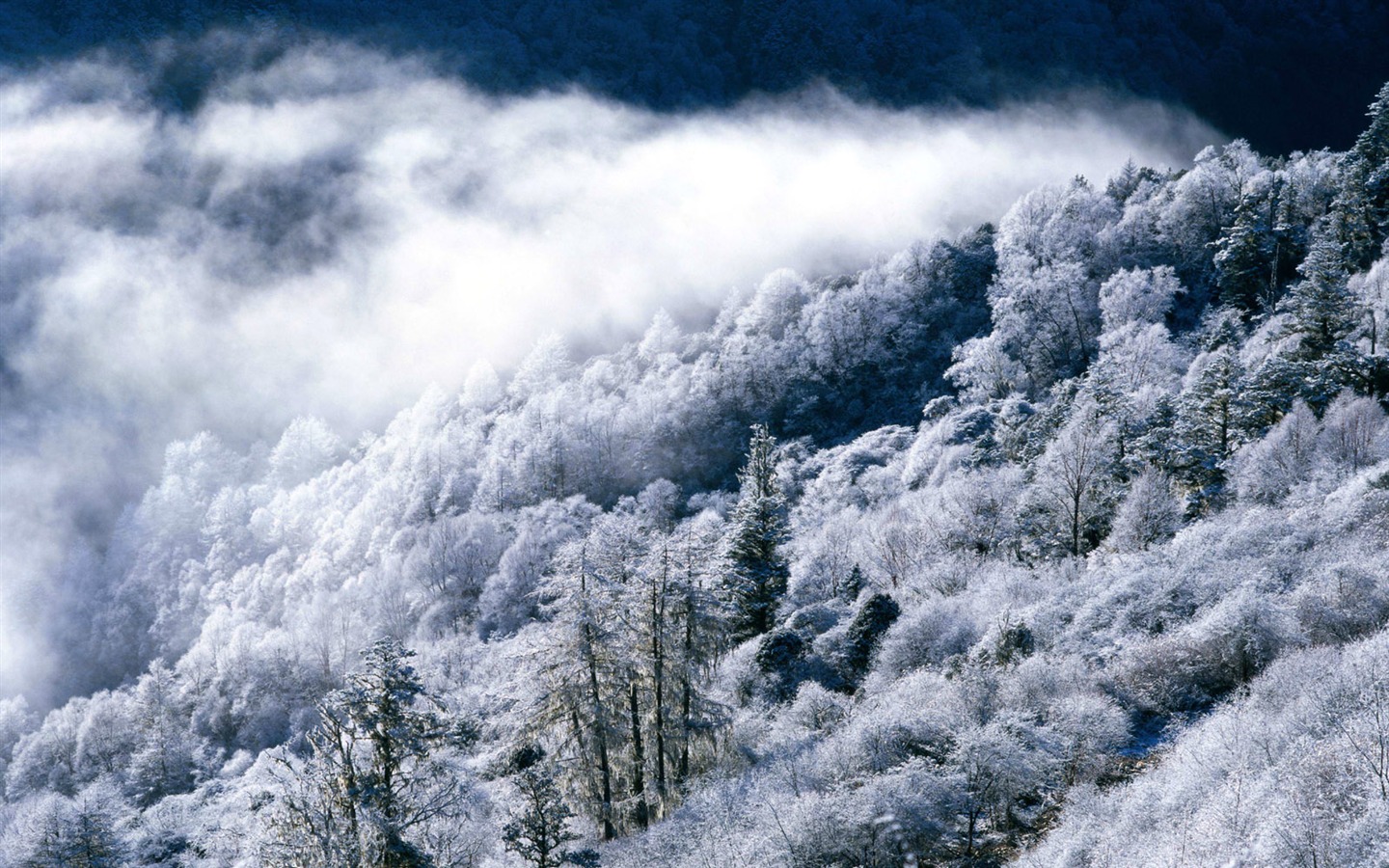 雪山雪景合集 壁紙(二) #7 - 1440x900
