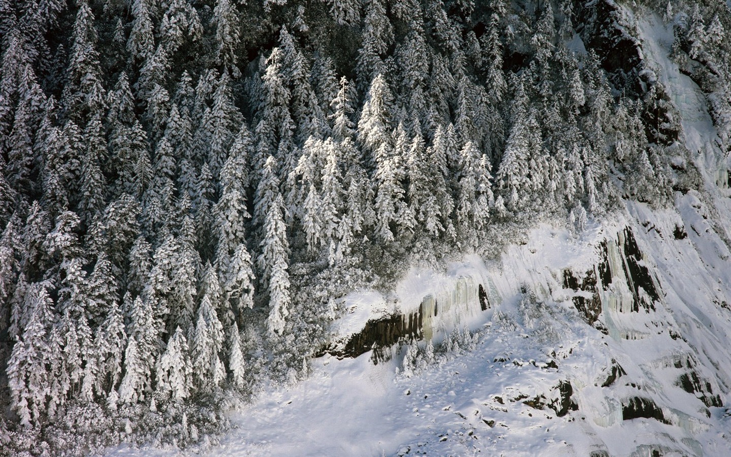 雪山雪景合集 壁纸(二)8 - 1440x900