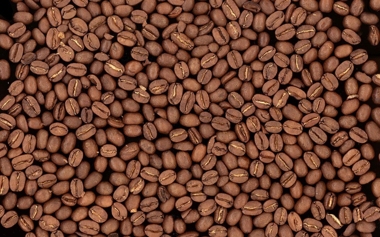 커피 기능 벽지 (1) #15 - 1440x900
