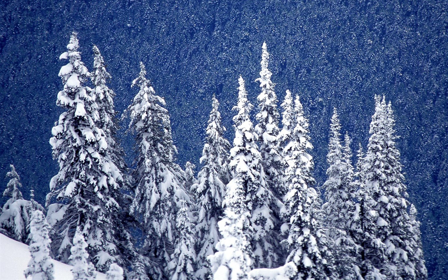 雪山雪景合集 壁紙(三) #15 - 1440x900