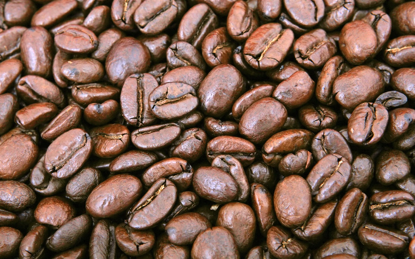 Coffee feature wallpaper (2) #7 - 1440x900