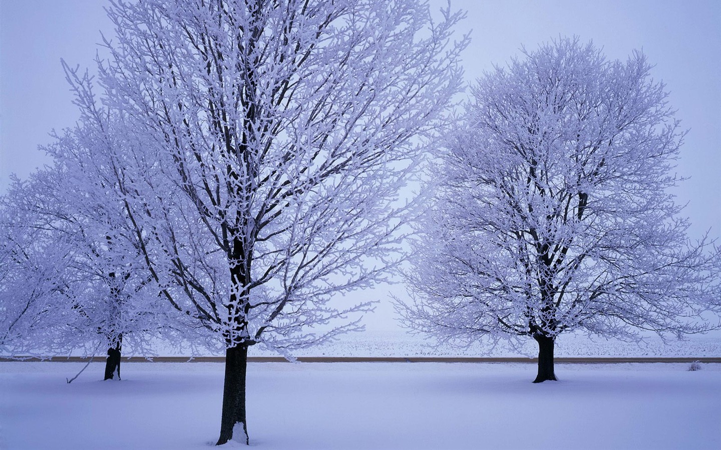 雪山雪景合集 壁紙(四) #18 - 1440x900