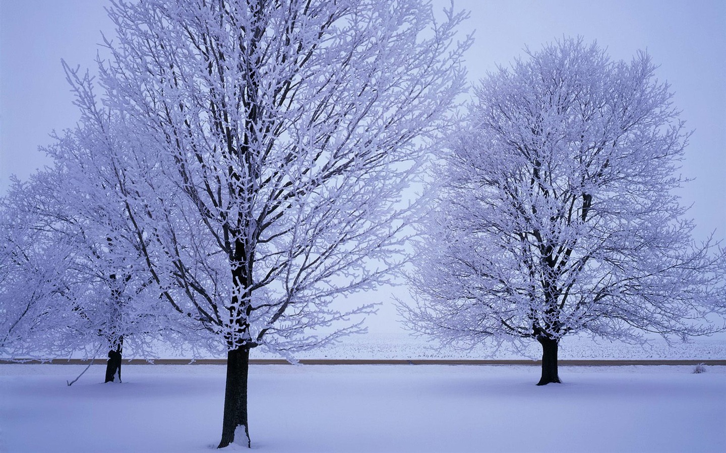 雪山雪景合集 壁纸(四)18 - 1440x900