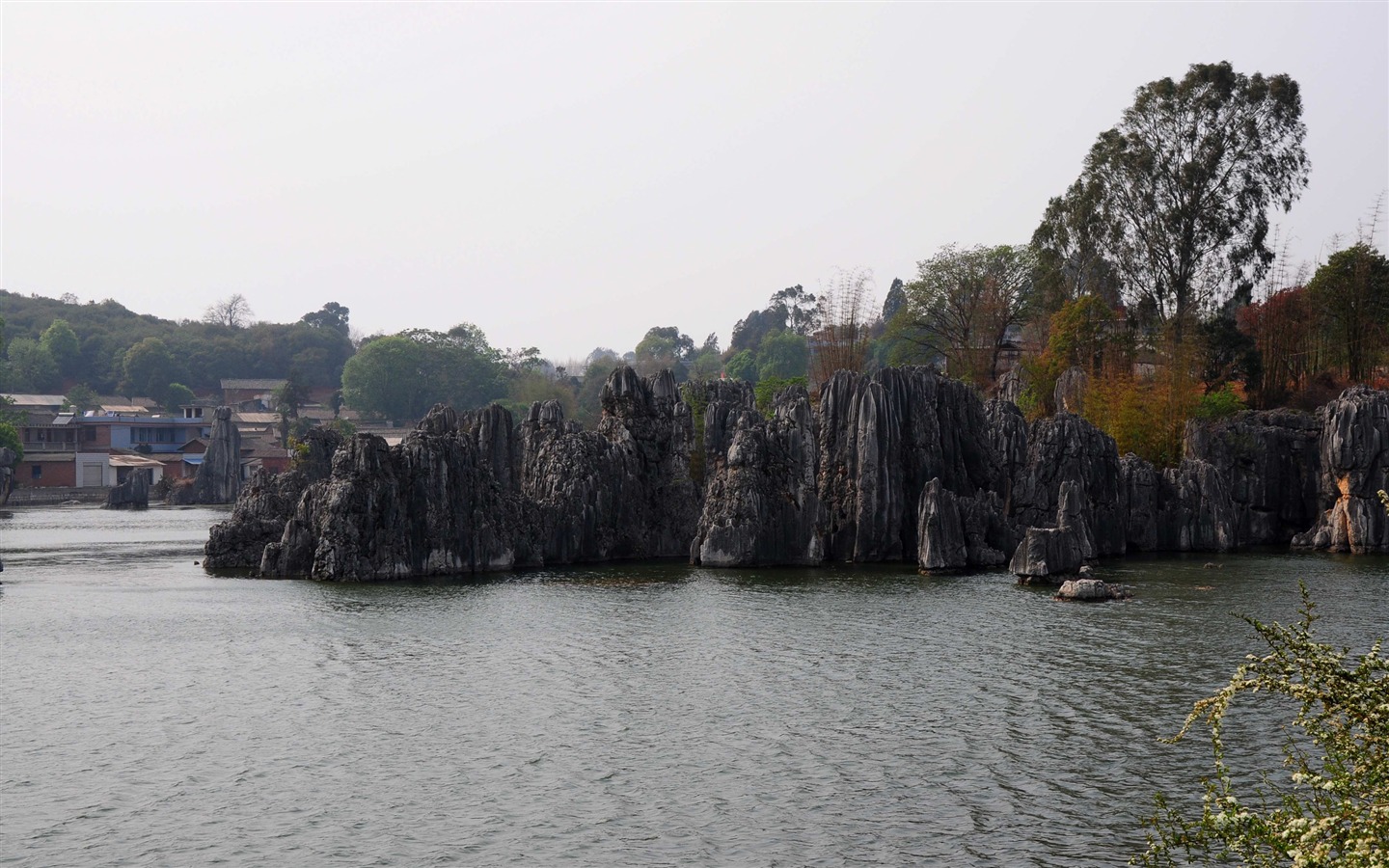 Stone Forest in Yunnan line (2) (Khitan wolf works) #30 - 1440x900