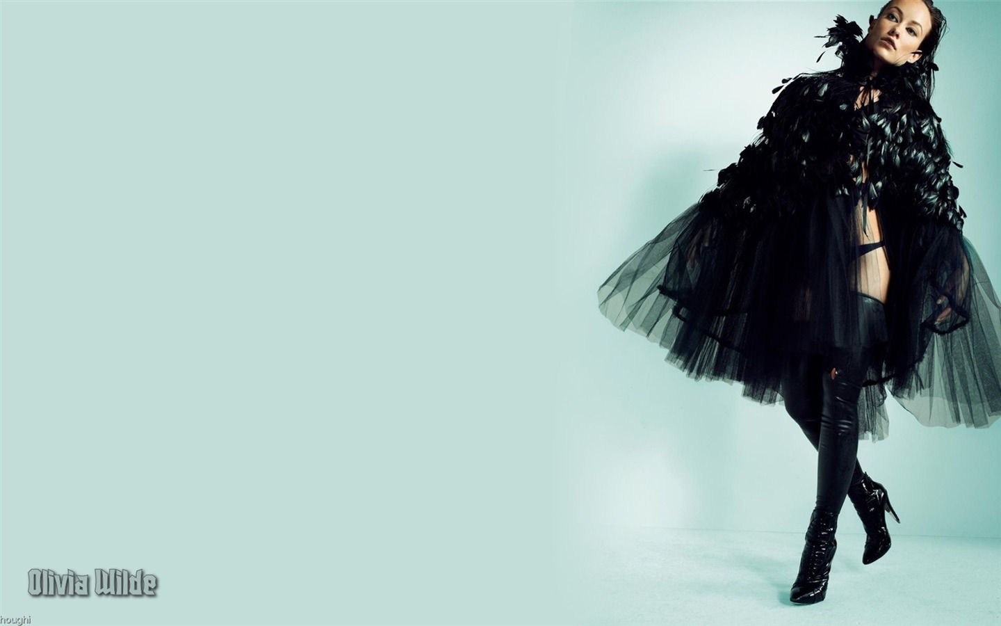 Olivia Wilde krásnou tapetu #14 - 1440x900